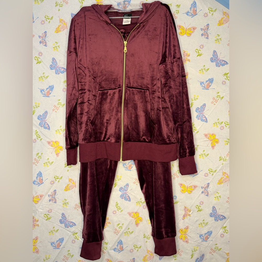 Felina Women’s Velour Tracksuit Full Zip Hoodie & Jogger Large